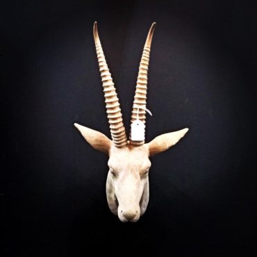 Homewares & Accessories at Canalside Interiors