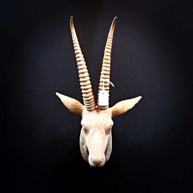 Homewares & Accessories at Canalside Interiors