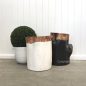 Organic Log Trunk Stools / Side Tables