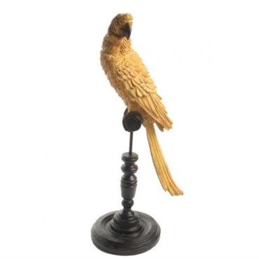 Parrot - Yellow