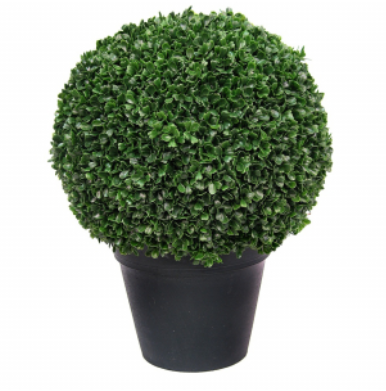 Boxwood Ball In Pot