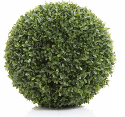 Boxwood Ball