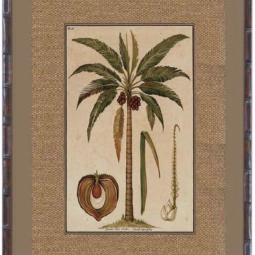 Plantation Artwork with textured surround - Large