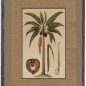 Plantation Artwork with textured surround - Large