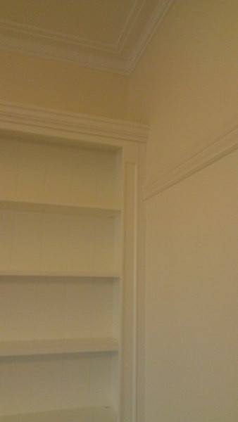 Custom Fire Place Wall Units