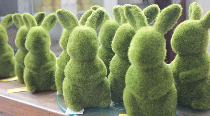 IMG_2064_2528Comp2529__25391__91753.1553740765.1280.1280