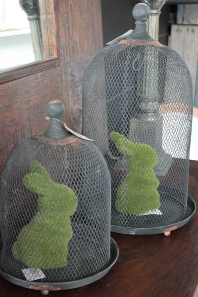 IMG_2098_2528Comp2529__25626__38535.1553740765.1280.1280