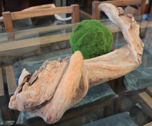 IMG_2224_2528Comp2529__71227__38310.1553740793.1280.1280