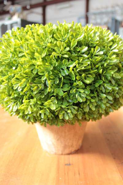 IMG_2290_2528Comp2529__23448__72504.1553740781.1280.1280