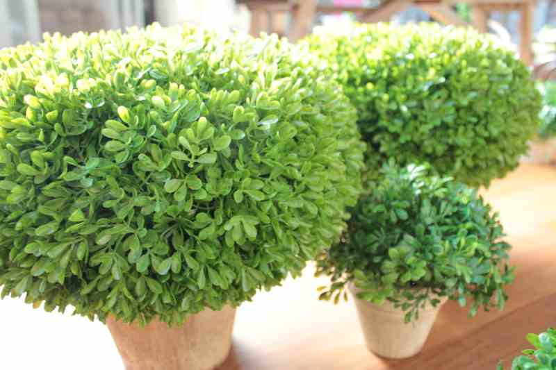 IMG_2293_2528Comp2529__79632__15838.1553740781.1280.1280