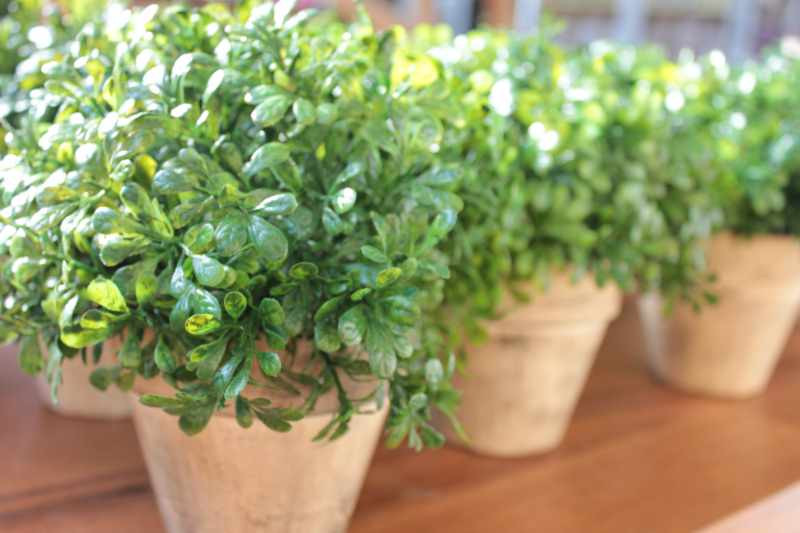 IMG_2296_2528Comp2529__49738__55019.1553740781.1280.1280