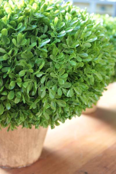 IMG_2298_2528Comp2529__45172__50023.1553740781.1280.1280