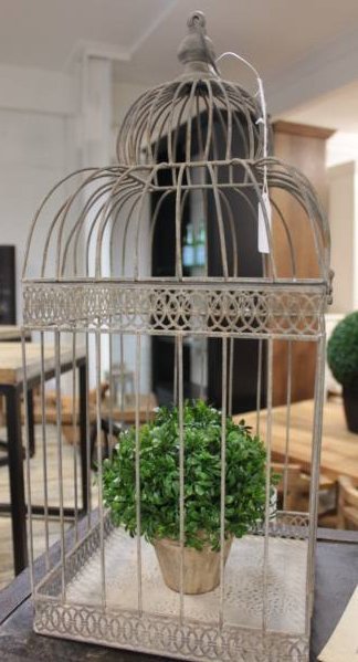 Display Bird Cages