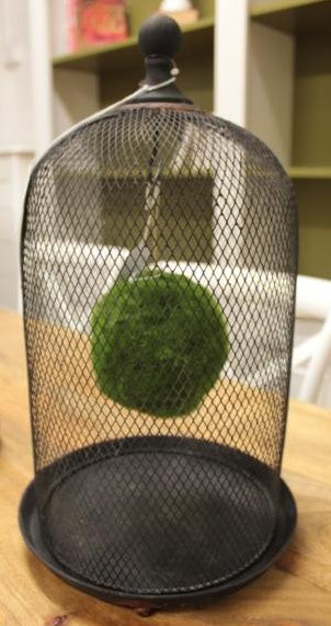 IMG_2334_2528Comp2529__52667__45707.1553740767.1280.1280