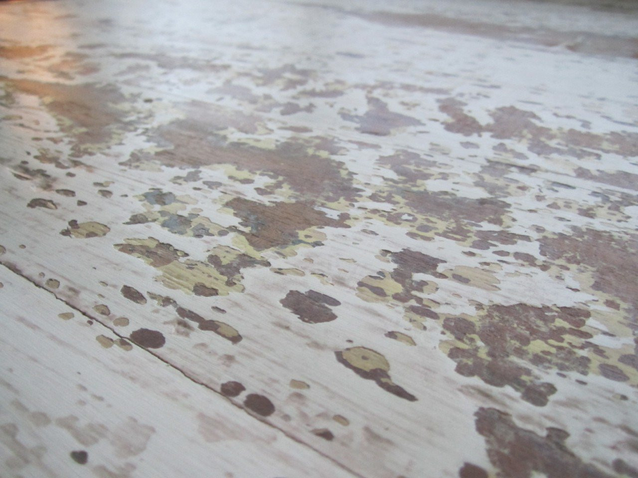 IMG_4857__44539__64189.1553740644.1280.1280