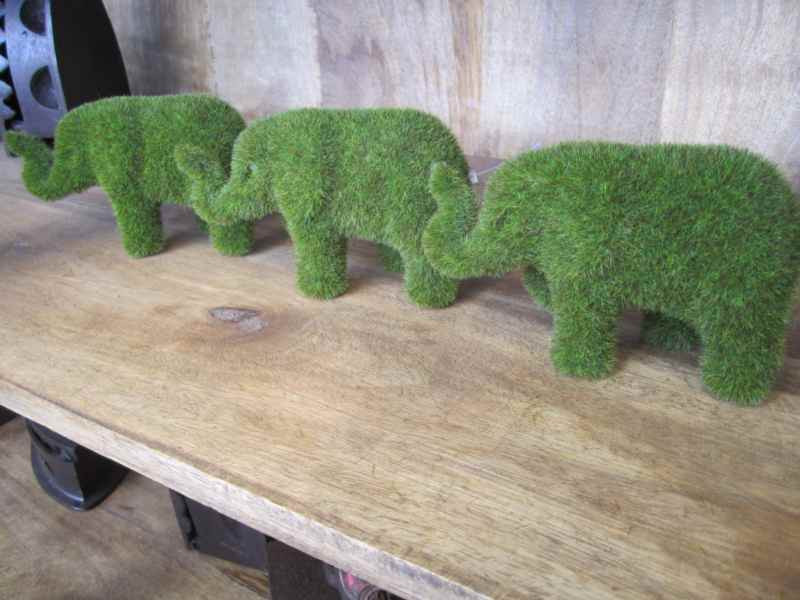 IMG_5890_2528Comp2529__39671__53551.1553740785.1280.1280