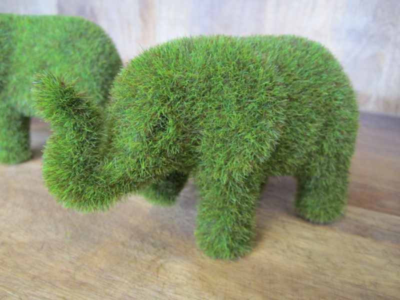 IMG_5891_2528Comp2529__36183__36115.1553740785.1280.1280