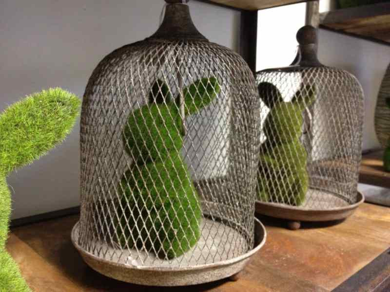 IMG_6363_Comp__55378__57945.1553740767.1280.1280