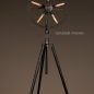 Industrial Fan Floor Lamp