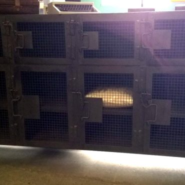 Foundry Industrial 2-Tier TV Unit / Sideboard